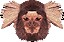 MonkeyCantab_marmoset