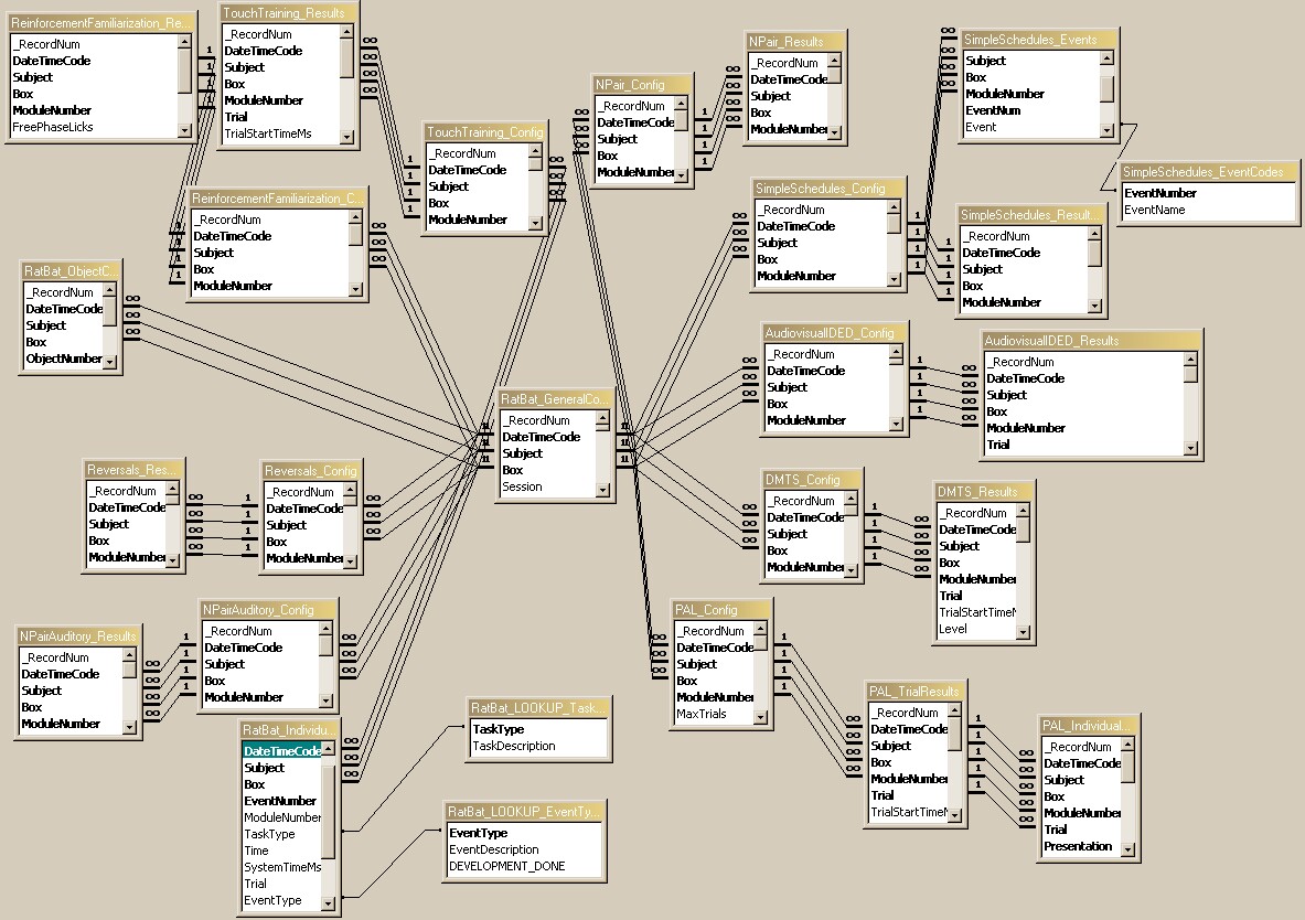 RatBat_DatabaseRelationships