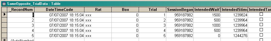 SameOpposite_Database_3