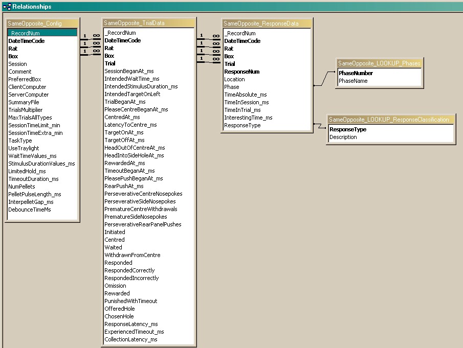 SameOpposite_Database_4